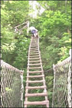 Weigh Scale for the West Coast Trail